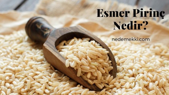 Esmer Pirinç Nedir, Faydaları, Kalori ve Besin Değerleri Nelerdir ?