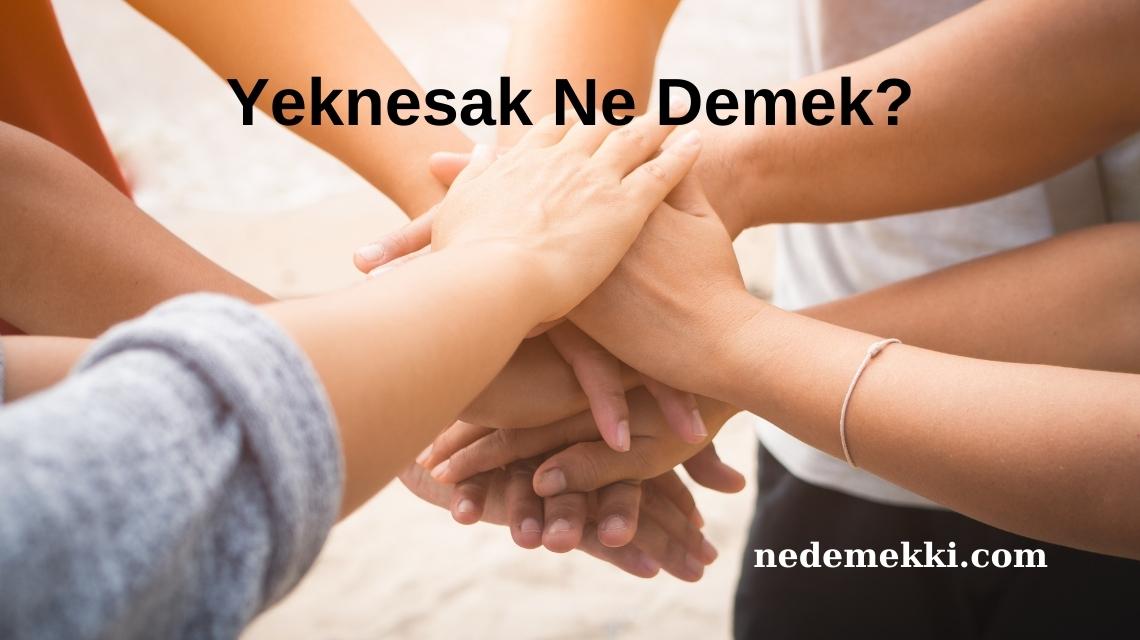 Yeknesak Ne Demek?