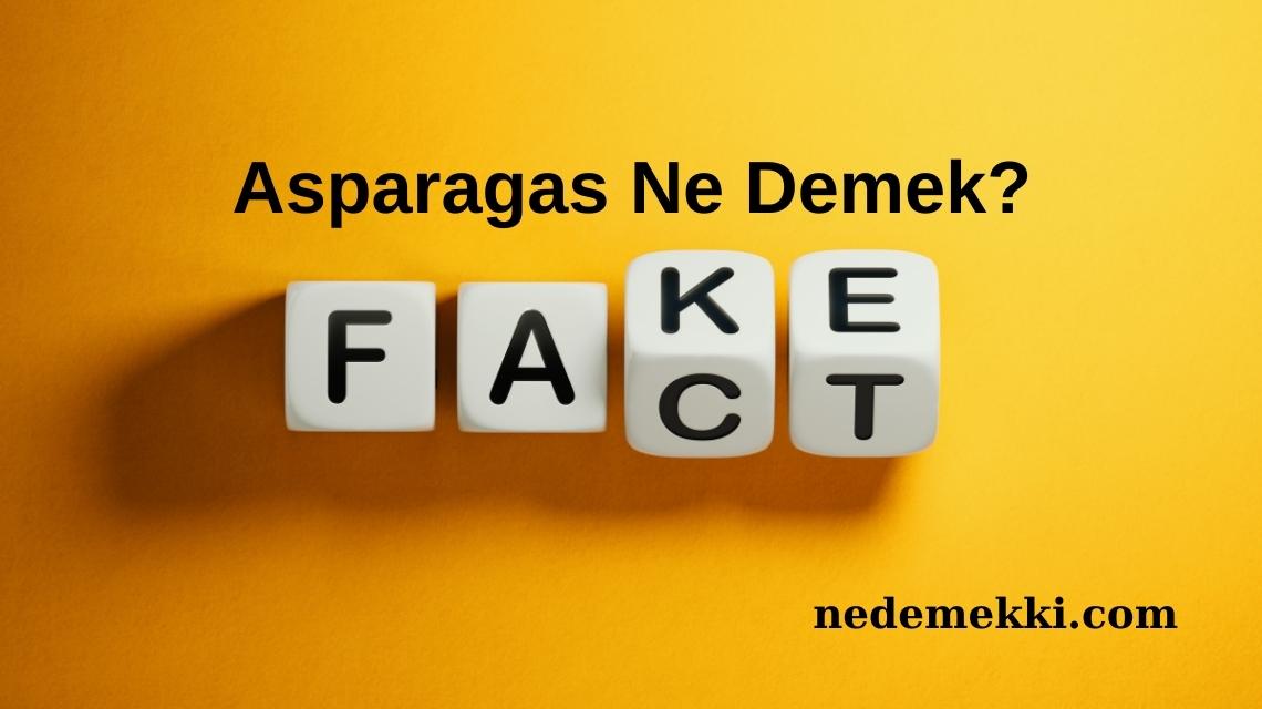 Asparagas Ne Demek?