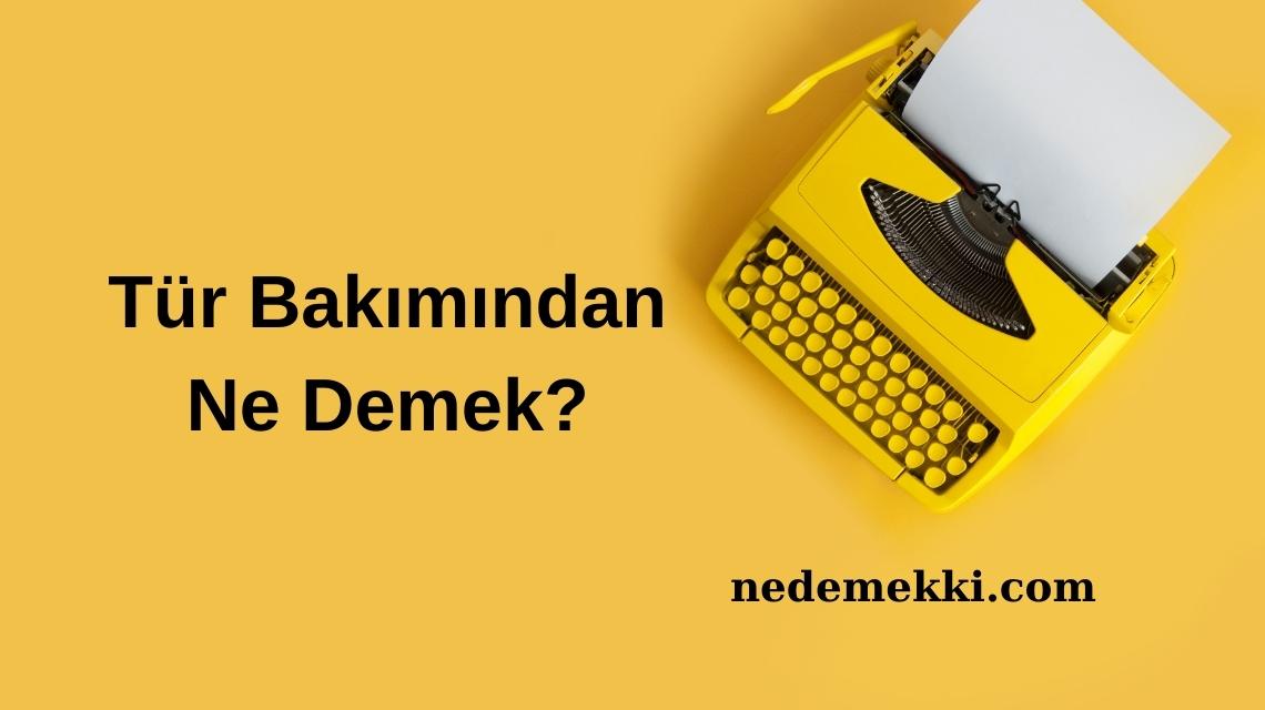 Tür Bakımından Ne Demek?