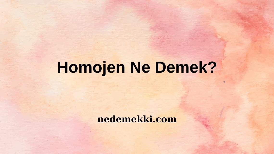 Homojen Ne Demek?